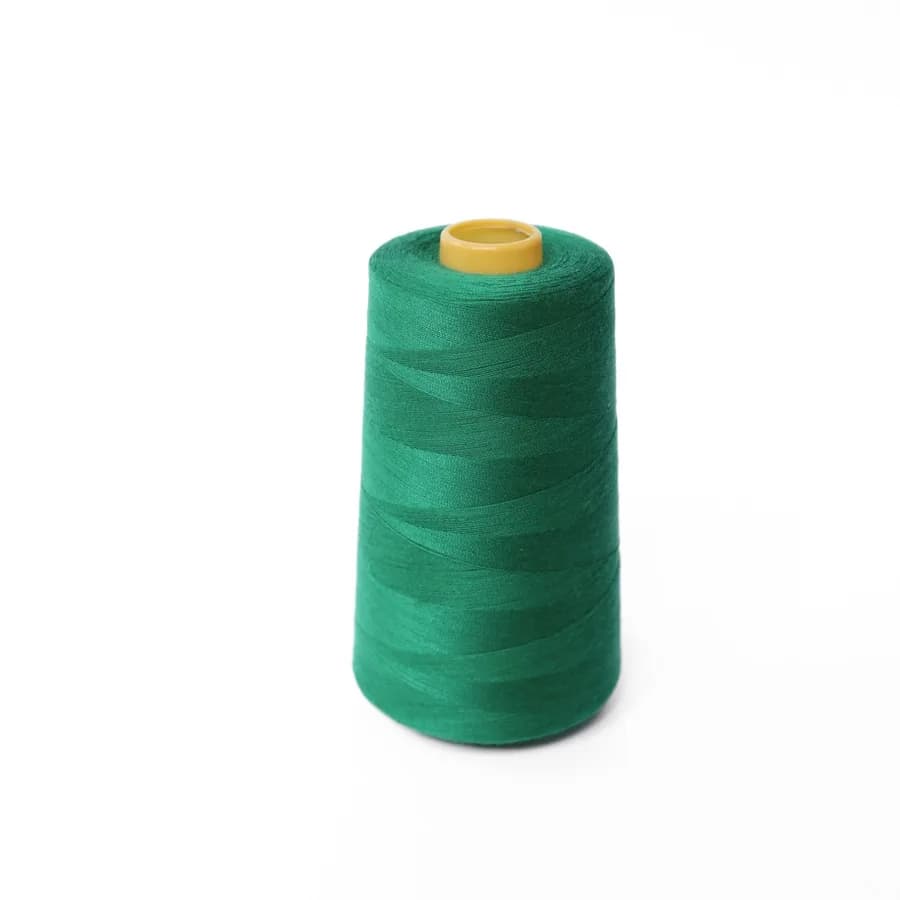 Lizard Medium 40/S/2