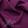Purple #20-05 