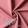 Pink Iris #24-12 