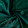 Dark Green #5 