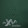 Dark Green #5 