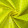 HV Yellow 